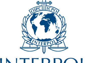 INTERPOL apprehend Canadian, Nigerian lady for financial crimes, cyber offenses in Abuja