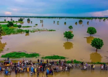 Nasarawa uges residents in flood-prone areas to relocate