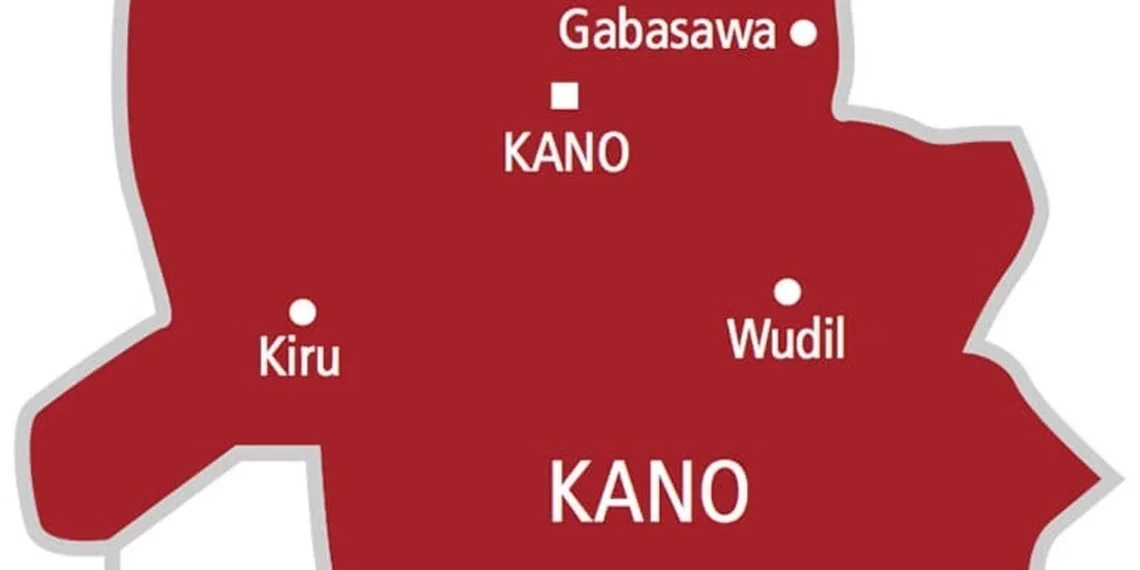 Kano threatens action against youths terrorising communities