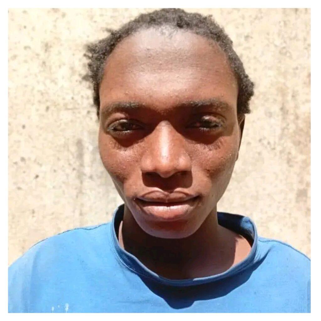 Adamawa State Police arrests 22-year old for defiling 4 minors