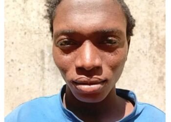 Adamawa State Police arrests 22-year old for defiling 4 minors