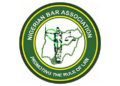 NBA describes compulsory voting bill as unconstitutional, draconian