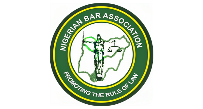 NBA describes compulsory voting bill as unconstitutional, draconian