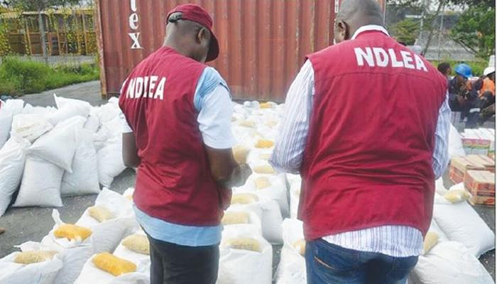 NDLEA arrests 62,000 suspects, secures 11,600 convictions, seizes 10.3m kg of drugs in 51 months