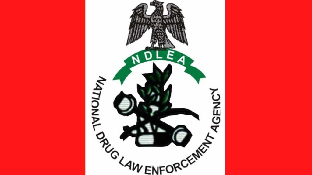 NDLEA confiscates 4,765 kg of alleged cannabis sativa in Nasarawa