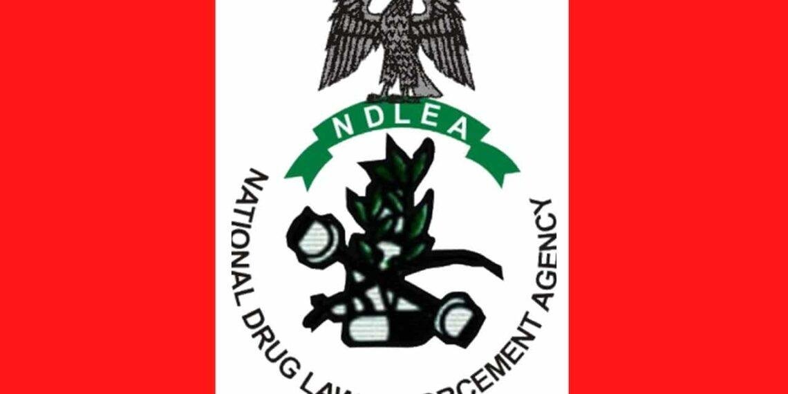NDLEA confiscates 4,765 kg of alleged cannabis sativa in Nasarawa
