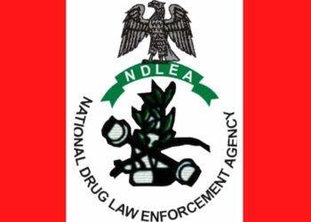 NDLEA confiscates 4,765 kg of alleged cannabis sativa in Nasarawa