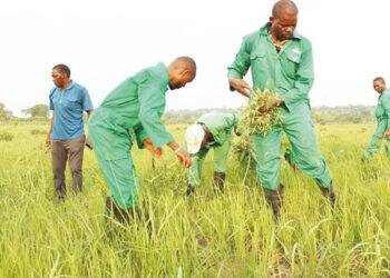 Delta Head of Service urges Civil Servants to embrace agriculture for sustainable future