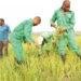 Delta Head of Service urges Civil Servants to embrace agriculture for sustainable future