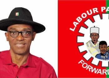 2027: Labour Party to provide more opportunities for women to contest elections - Abure