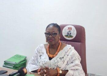 Edo deputy speaker resigns following PDP’s minority status in House