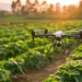 How Drones are revolutionizing Crop health monitoring in Nigeria – AgroNigeria