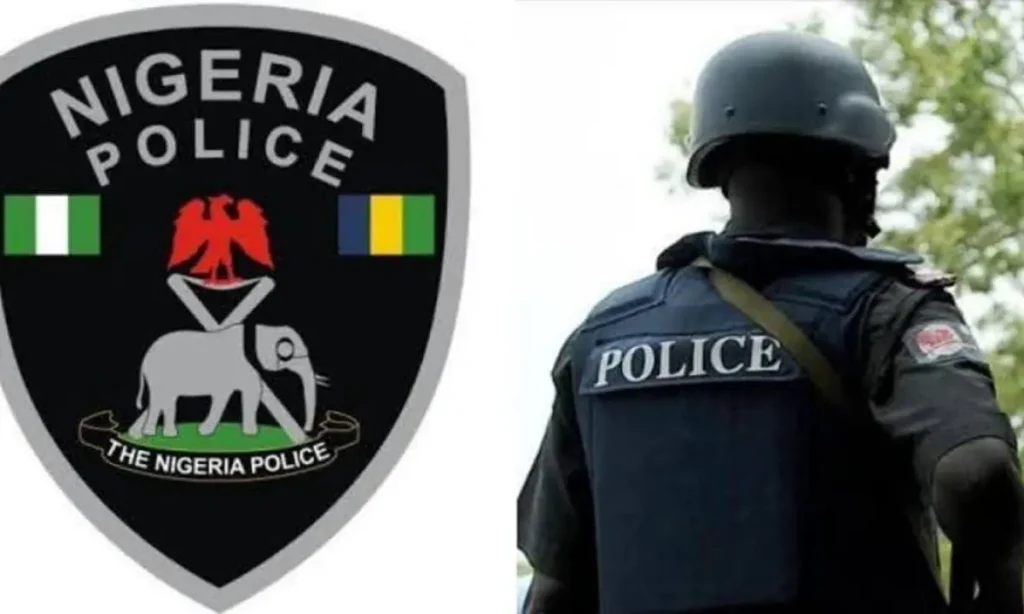 Police dismantle inter-state car theft syndicate, arrest 4 suspects in Taraba