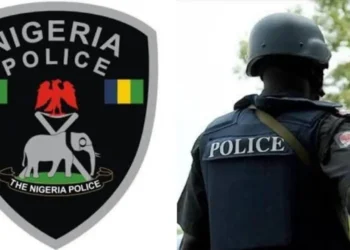 Police dismantle inter-state car theft syndicate, arrest 4 suspects in Taraba