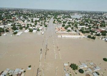 25 lives lost, 9,352 households affected by 2024 flooding in Enugu - NEMA