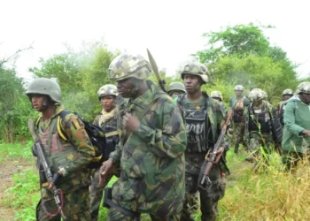 Again troops neutralize bandits, recover 1,000 rustled cattle in Taraba