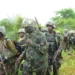 Again troops neutralize bandits, recover 1,000 rustled cattle in Taraba