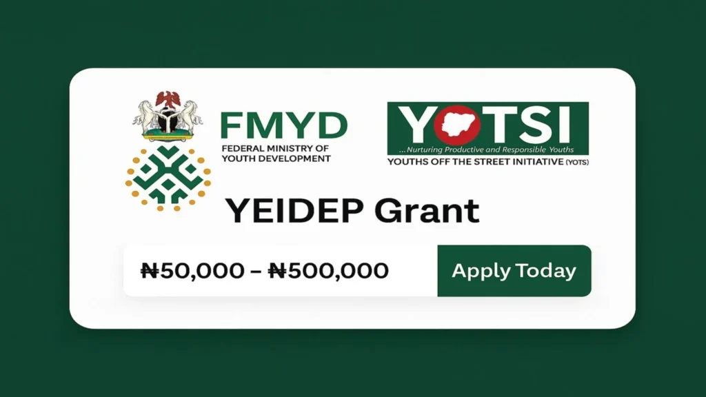 FG to distribution of ₦500,000 Grant for about 2 Million young individuals