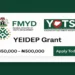 FG to distribution of ₦500,000 Grant for about 2 Million young individuals