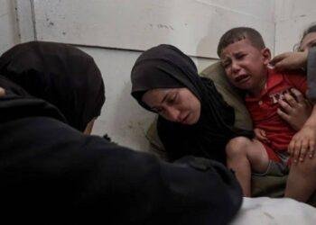 Israeli military kills 23 Palestinians near aid site in Gaza