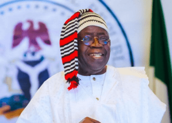 Endorsement galore for Tinubu, what fate awaits PDP, others in 2027?