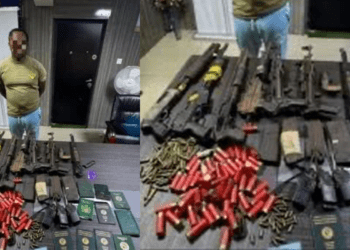 Police arrest 210 suspects, seize Drugs, Weapons in Borno