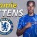 Chelsea sign Jamie Gittens