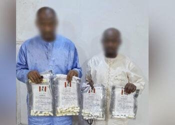 NDLEA busts Kano drug syndicate sponsoring hajj pilgrims, seizes ₦9.3bn worth of drugs in Rivers