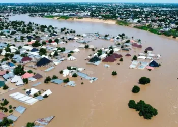 Foundation urges proactive action to prevent flooding disasters