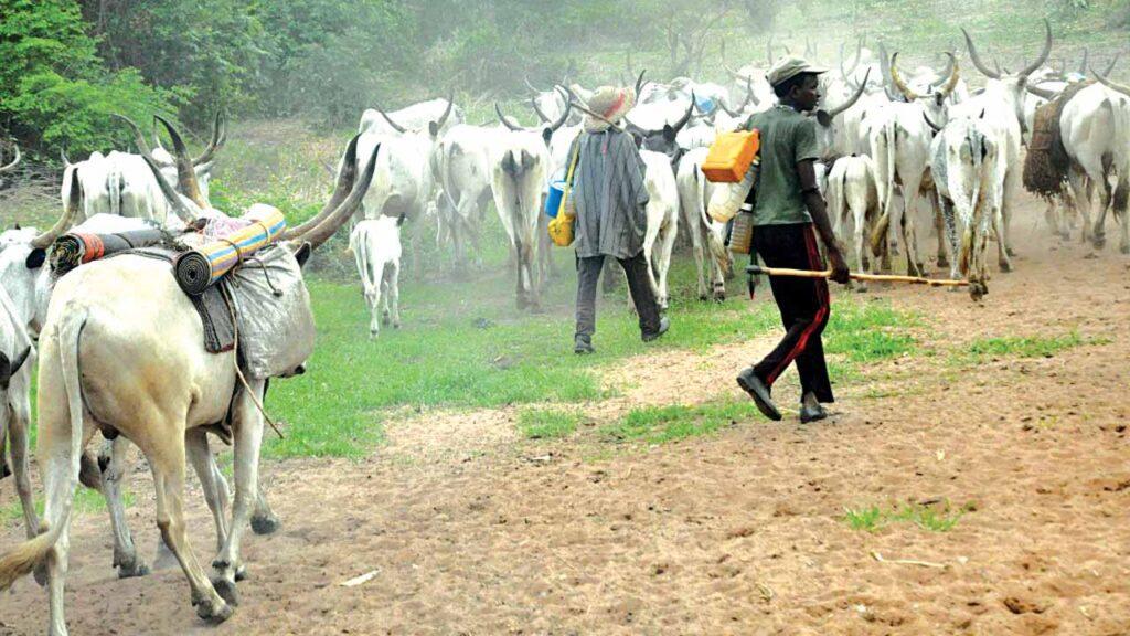 Tension in Imo as Armed Herdsmen butcher five in Agwa Community
