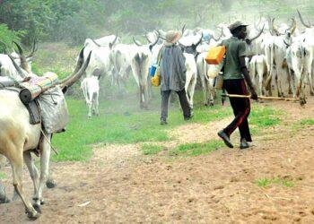 Tension in Imo as Armed Herdsmen butcher five in Agwa Community