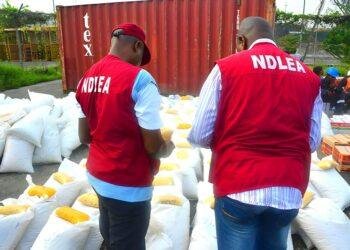 NDLEA raids drugs hotspots in Kano, arrests 19 suspects
