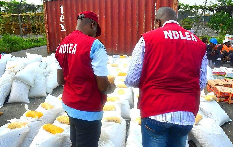 NDLEA raids drugs hotspots in Kano, arrests 19 suspects