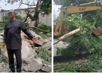 My brother’s property was illegally demolished in Lagos, Obi cries out