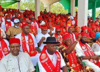 June 12: Ohanaeze seeks amnesty for 1,335 pro-Biafra agitators