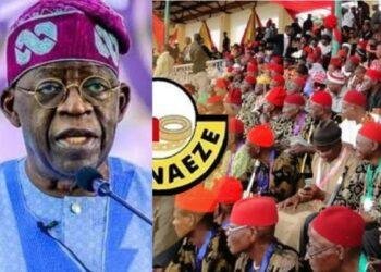 Insecurity, hunger, poverty may sack you in 2027 poll- Ohanaeze tells Tinubu