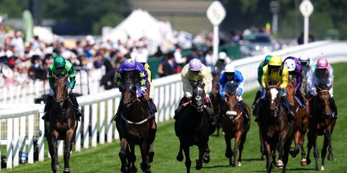 Dozens collapsed due to heat at England's Royal Ascot horse racing event in UK