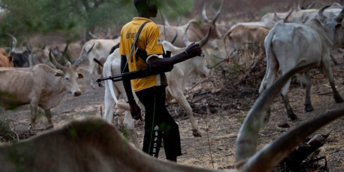 Vigilant youths repel armed herders attempting to infiltrate Cross River Communities