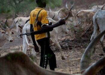 Vigilant youths repel armed herders attempting to infiltrate Cross River Communities