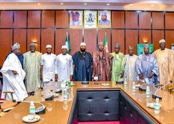 Gov. Zulum donates N300m to Niger flood victims