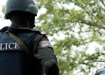 Police arraign suspects in viral video smoking marijuana inside patrol van