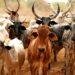 Inuwa Yahaya, Minister of Livestock Development, Idi Mukhtar Maiha, Emir of Gombe, Abubakar Shehu Abubakar, National President of Miyetti Allah Cattle Breeders Association of Nigeria
