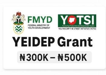 FG rolls out YEIDEP grants amid growing doubts over past failed youth empowerment Initiatives