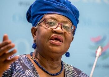 Okonjo-Iweala laments poor development impact of NDDC in Niger Delta