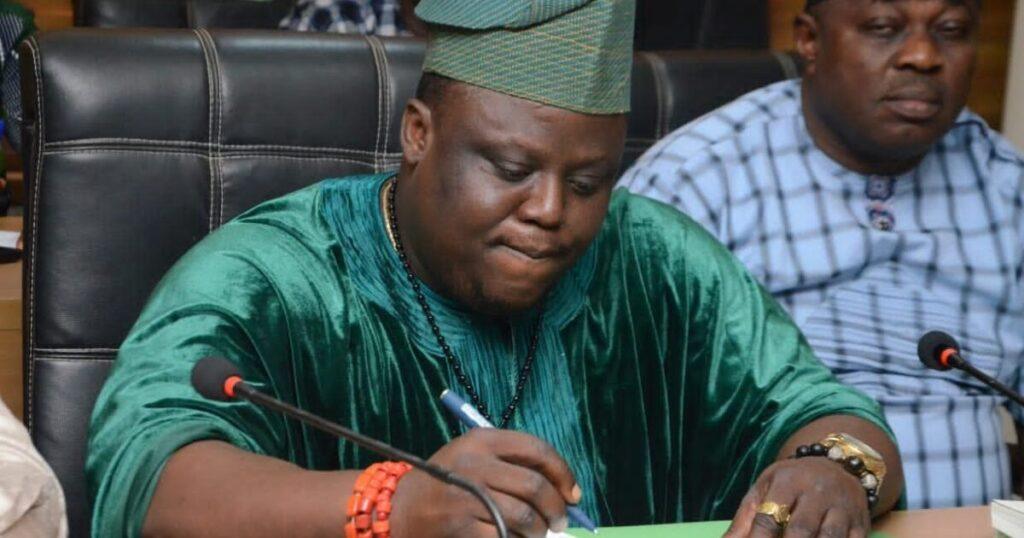 Ogun lawmaker urges probe, preventive action after fatal Elephant attack in Ogun