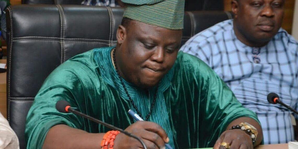 Ogun lawmaker urges probe, preventive action after fatal Elephant attack in Ogun