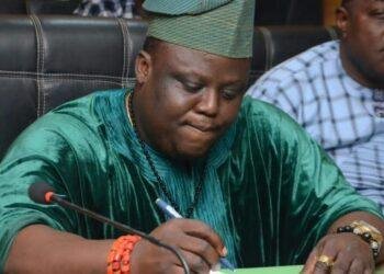 Ogun lawmaker urges probe, preventive action after fatal Elephant attack in Ogun