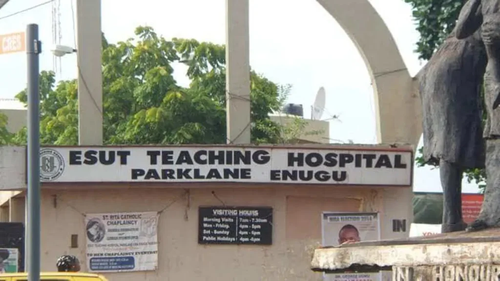 Student fakes kidnap to obtain N10m ransom for lover in Enugu