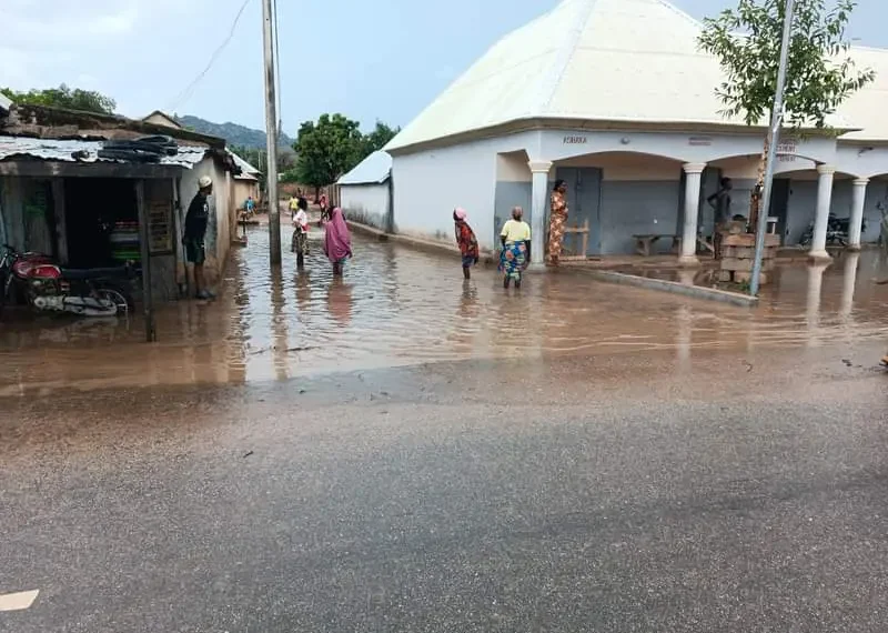 Ministry begins assessment of damage caused by flood in Adamawa