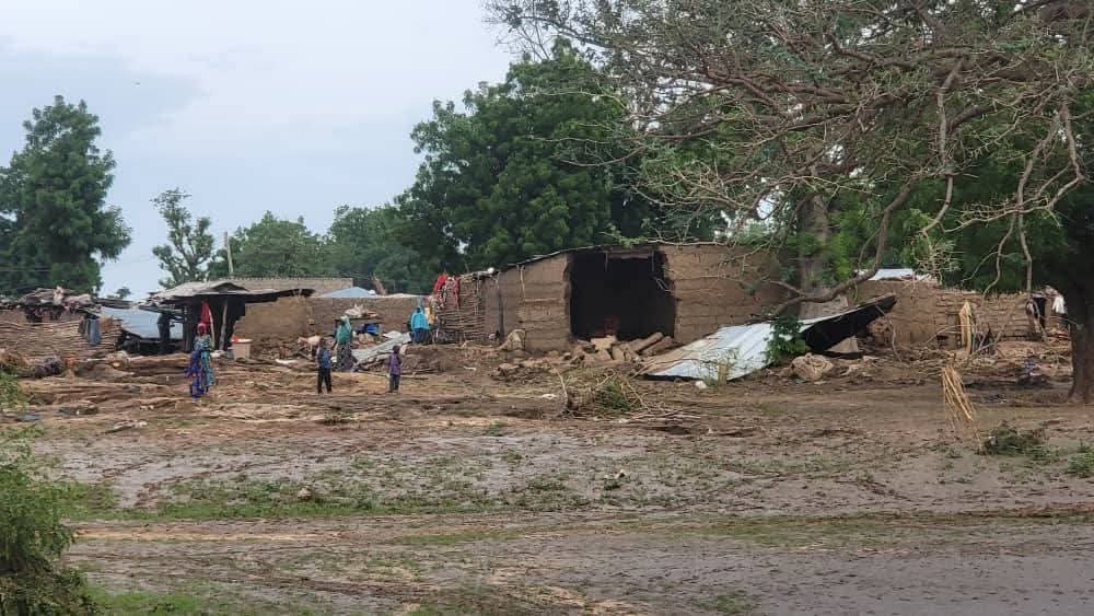 Again, flood ravages Borno communities, Over 1,200 houses affected in Damboa, Chibok
